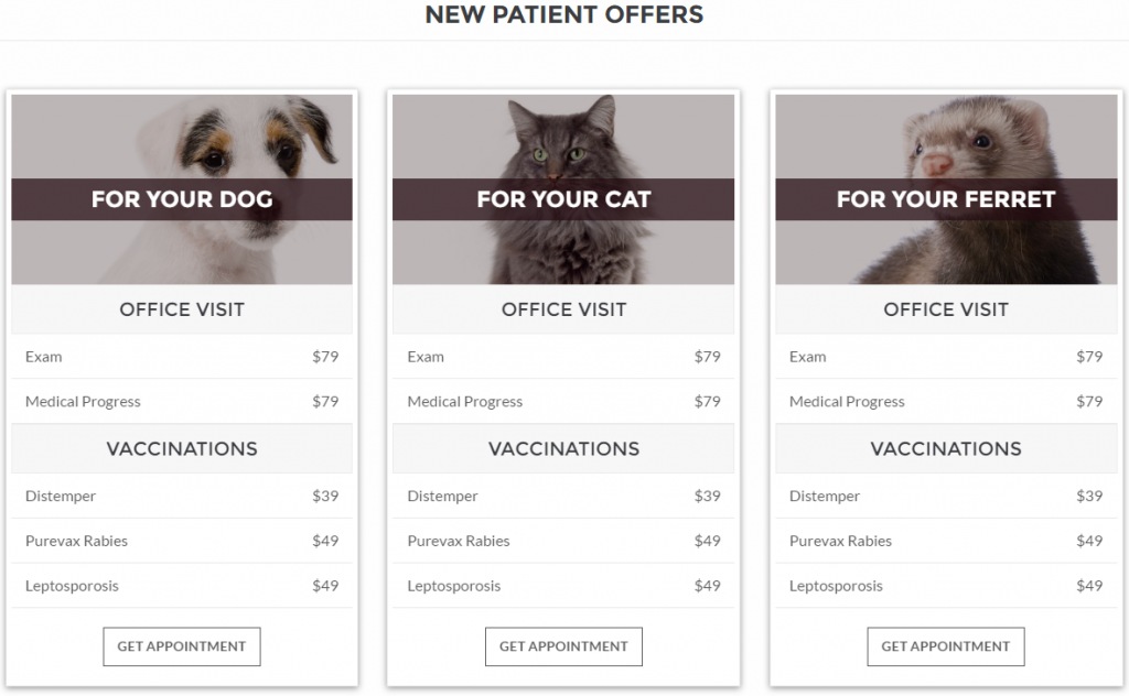 VetBox - Veterinary WordPress Theme - 1