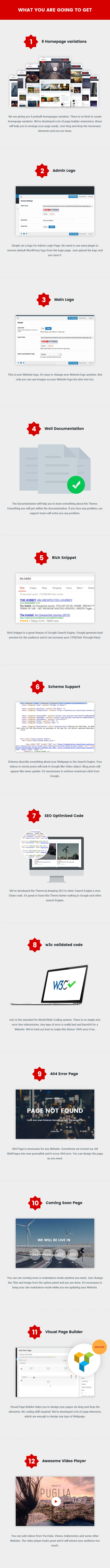 WordPress Video Theme