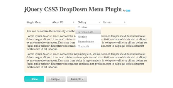 jQuery CSS3 DropDown Menu Plugin    Navigation