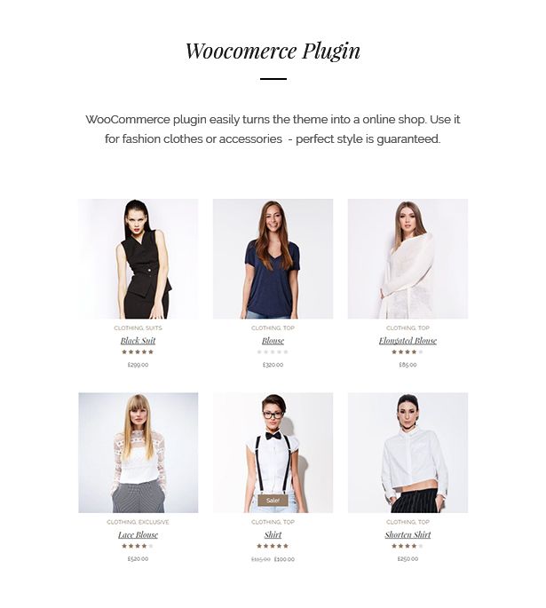 fashion theme