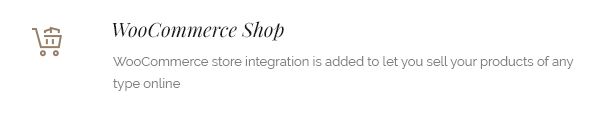 fashion wordpress theme