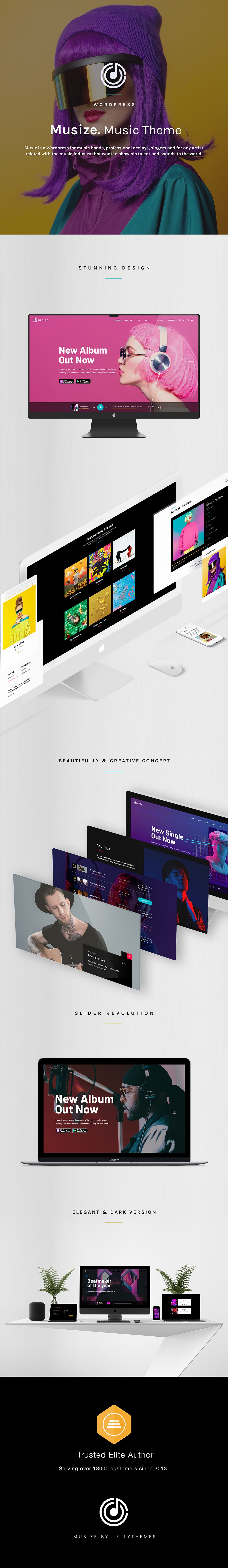 Musize - A Vivid Music WordPress Theme - 1