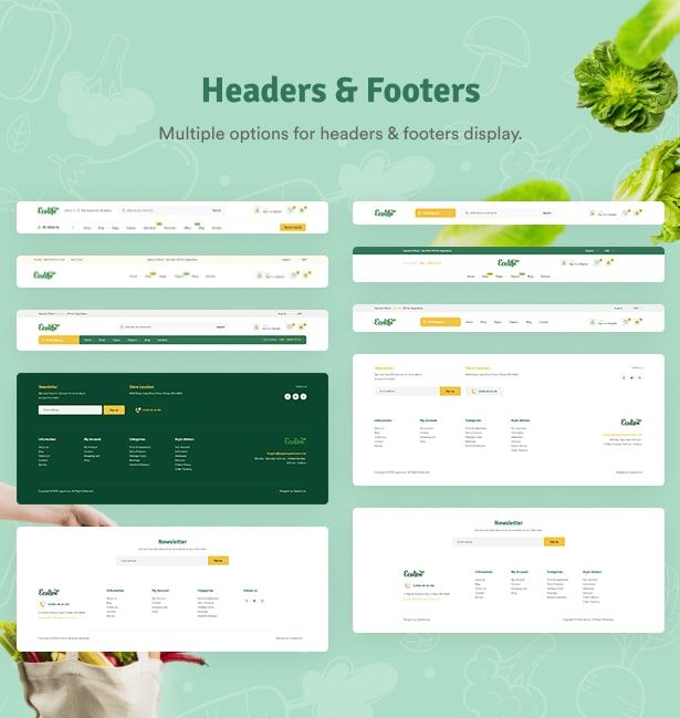 Ecolive - Organic Food WooCommerce WordPress Theme - Headers & Footers