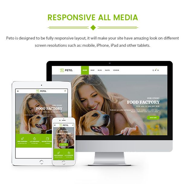des_05_responsive