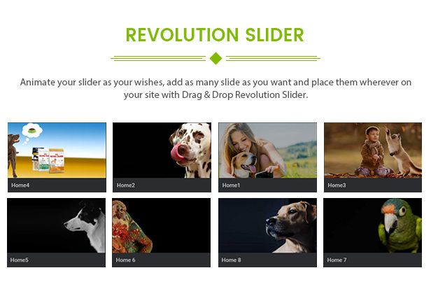 des_07_revolution_slider