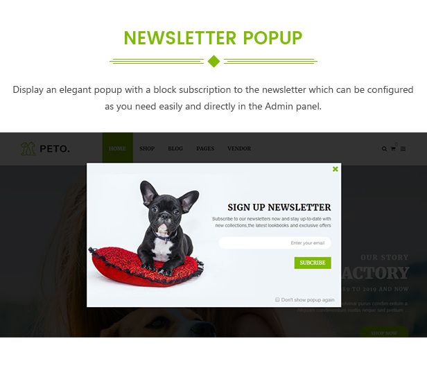 des_16_newsletter_popup