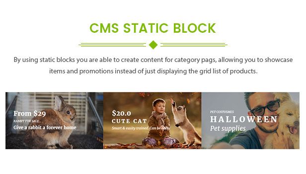 des_21_cms_staticblock
