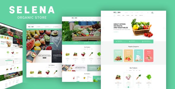 Selena – Organic Food Store Theme for WooCommerce WordPress