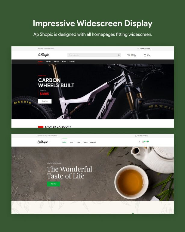 Impressive Widescreen display  