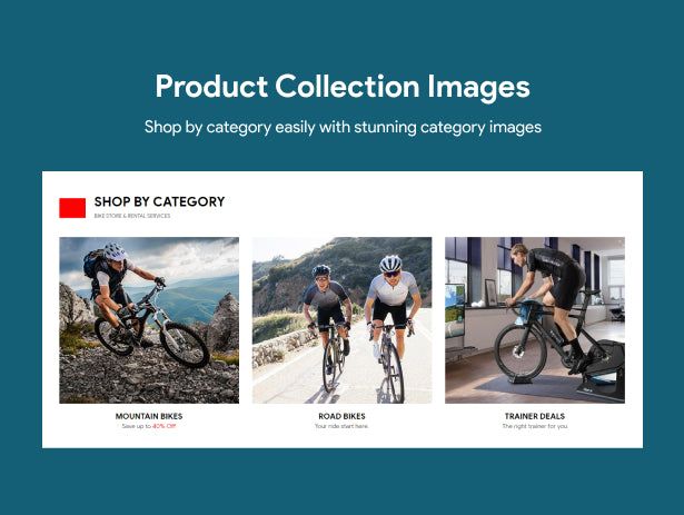 Product Collection Images 