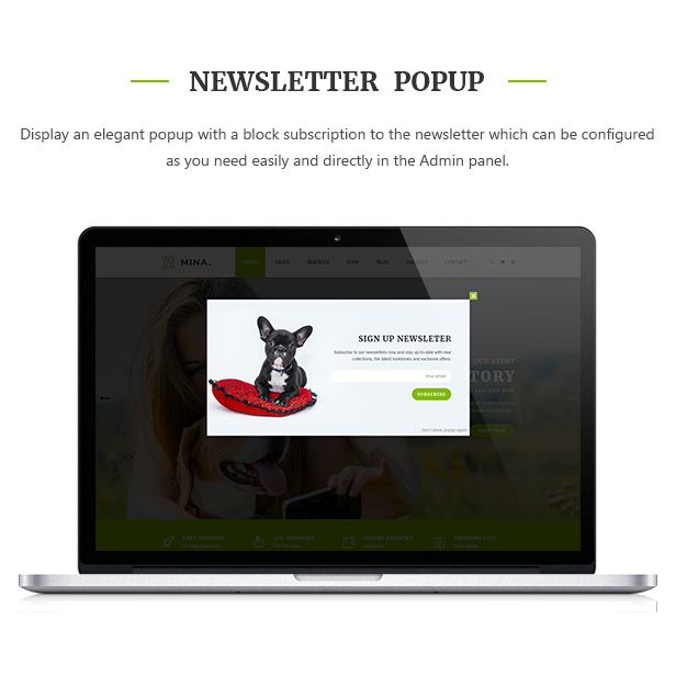 des_08_newsletter_popup