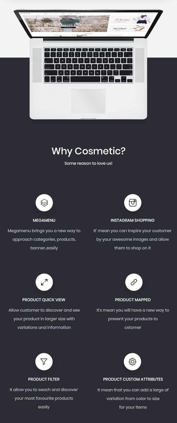 Leo feature - powerful module for hitech & Digital online store