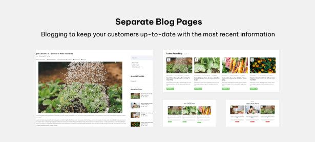 Separate Blog Pages