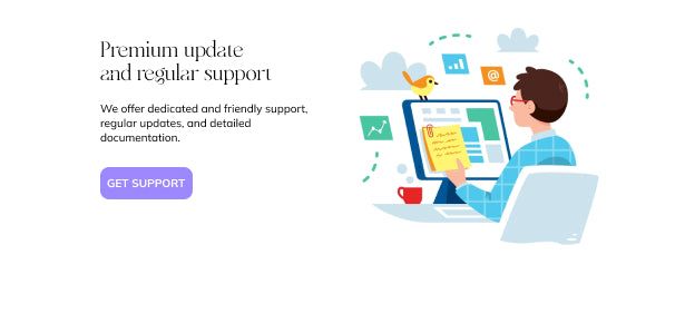 Premium update and regular support