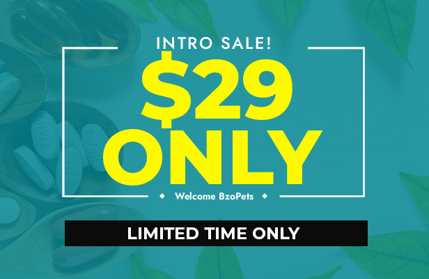 BzoPets - Pet Store and Supplies Shopify Theme - 1