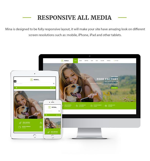 des_01_responsive