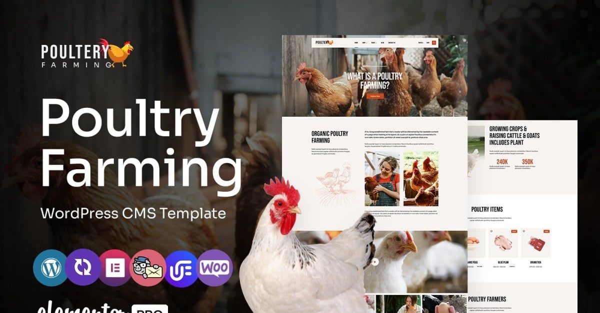 Poultery - Poultry Care And Farming Multipurpose WordPress Elementor Theme